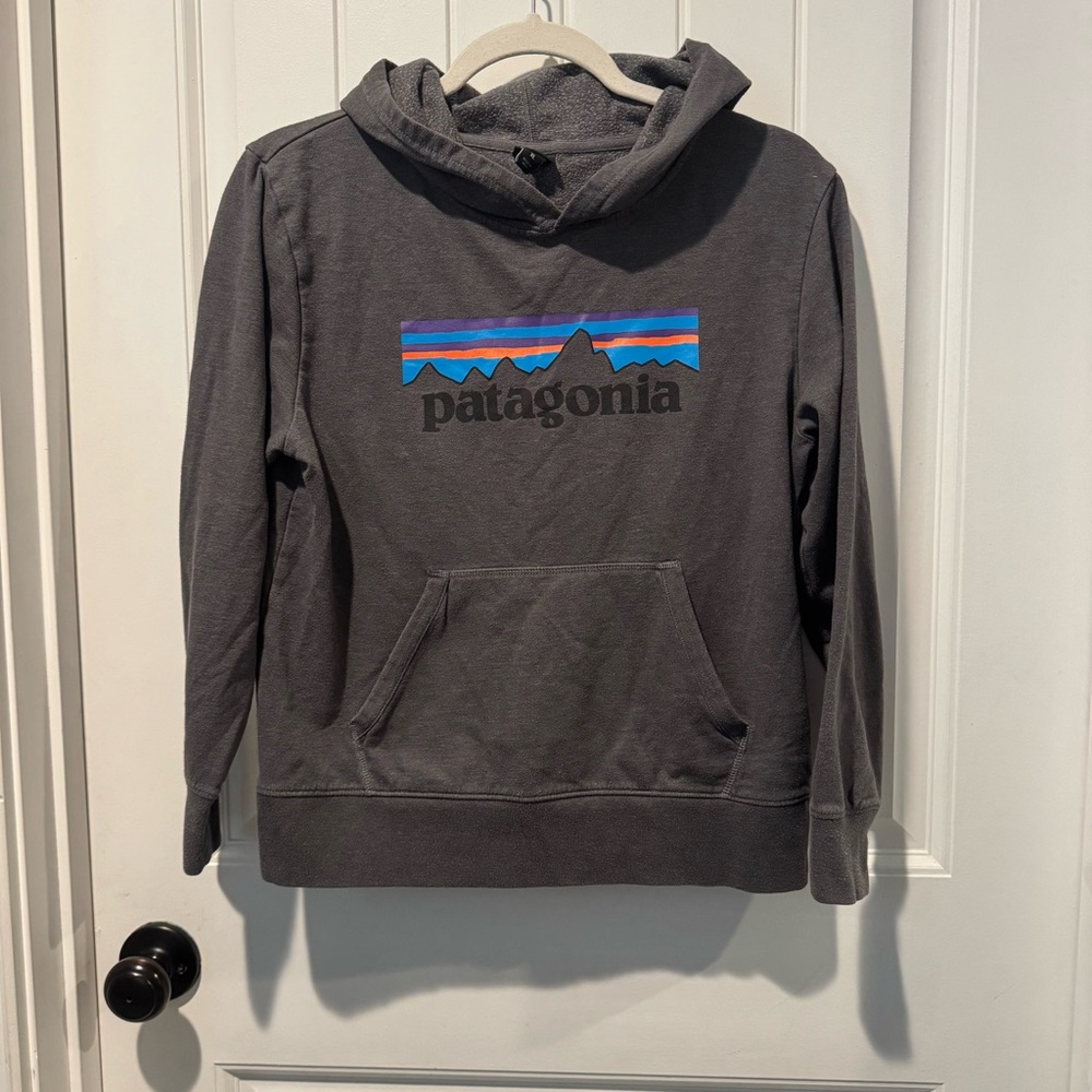Patagonia Kids Gray Hoodie